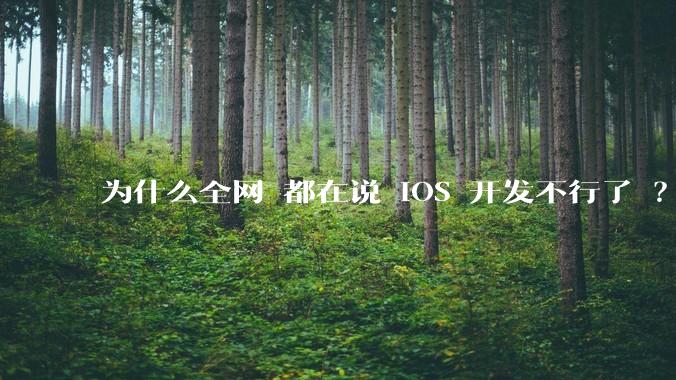 为什么全网 都在说 iOS 开发不行了 ？