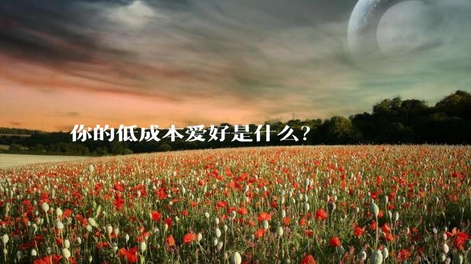 你的低成本爱好是什么？