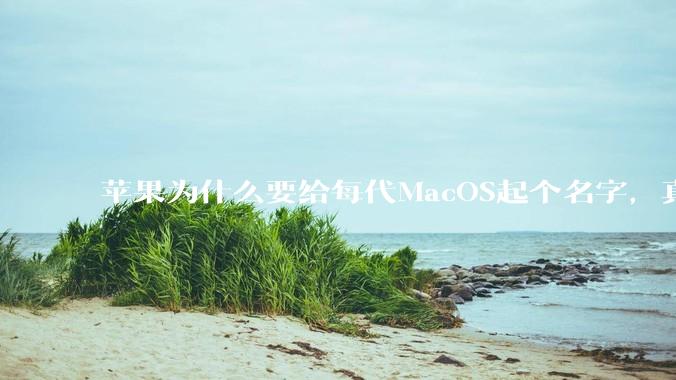 苹果为什么要给每代MacOS起个名字，真以为人们记得住分得清吗？