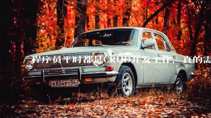 程序员平时都是CRUD开发工作，真的需要深入理解原理性的知识点吗？