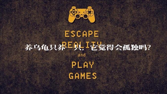 养乌龟只养一只，它觉得会孤独吗？