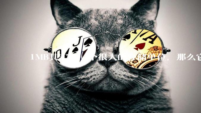 1MB其实是一个很大的存储单位，那么它的存储容量究竟有多大？