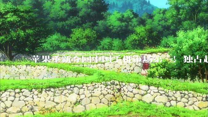 苹果重新夺回中国手机市场第一！独占超五分之一份额_系列_同比_Mate