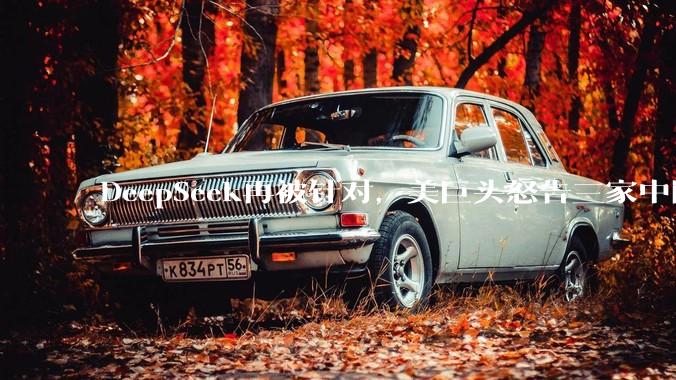 DeepSeek再被针对，美巨头怒告三家中国AI公司，模型蒸馏到底算不算“偷”？_Claude_企业_MiniMax