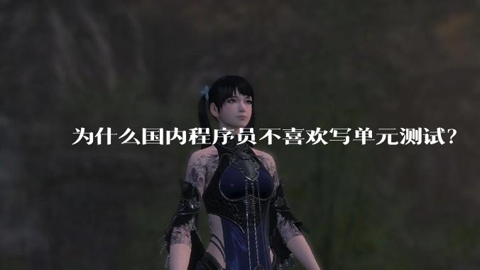 为什么国内程序员不喜欢写单元测试？