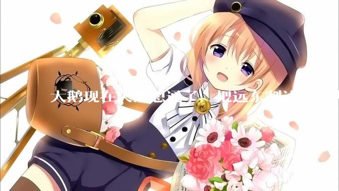 大鹅现在突然想通了，把远东割让给东大，会有什么后果？