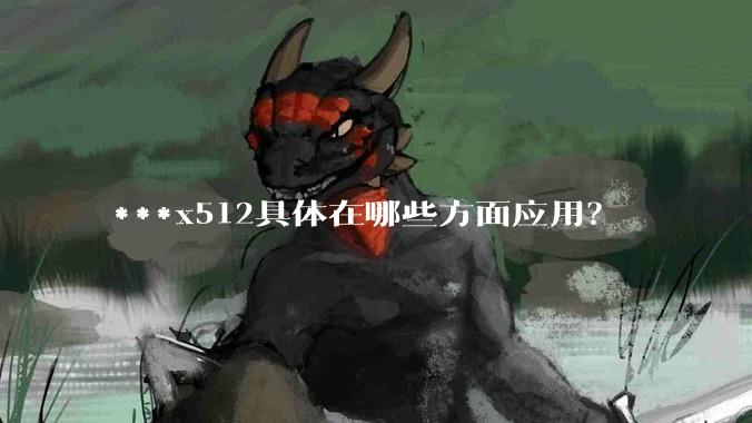 ***x512具体在哪些方面应用？