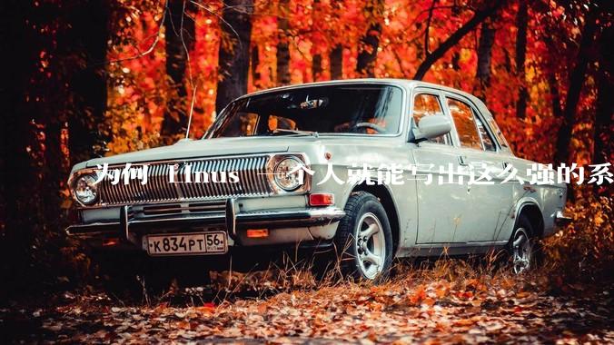 为何 Linus 一个人就能写出这么强的系统，中国却做不出来？