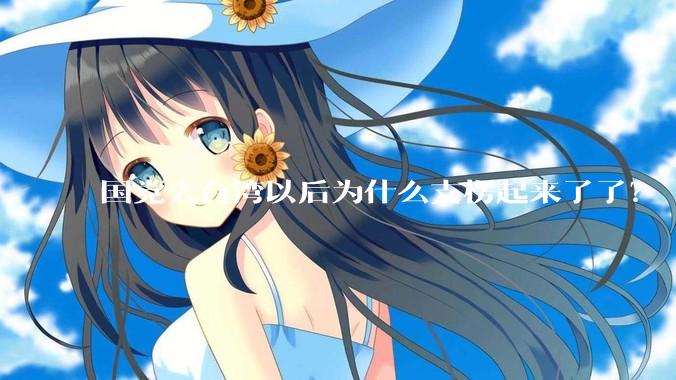 国党去台湾以后为什么支楞起来了了？